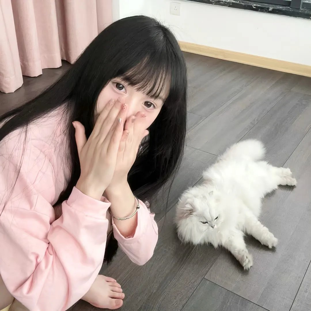 博斯：传承第二季